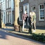 jola tours playing the Schnipseljagd Noordwijk